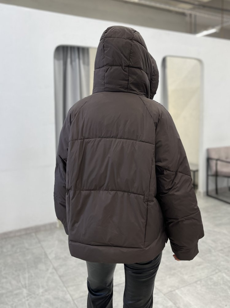 Пуховик с капюшоном (Тинсулейт) 1186 72460652\1013