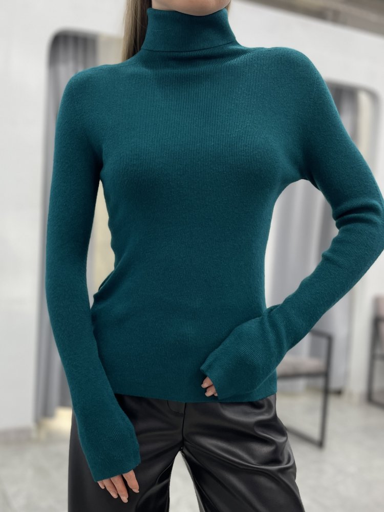 Водолазка 72460686\443