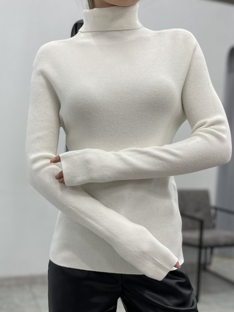 Водолазка 72460686\751