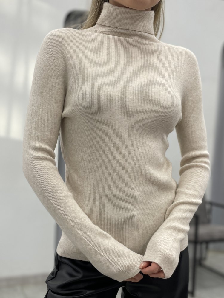 Водолазка 72460686\717